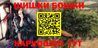 прущие грибы Мариинск