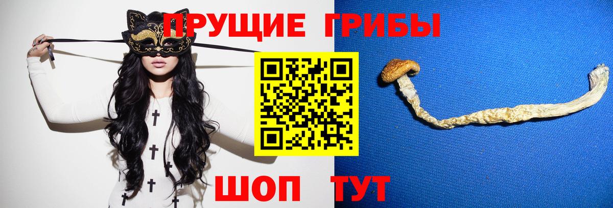 Шали  Псилоцибиновые грибы GOLDEN TEACHER  Вход с VPN 